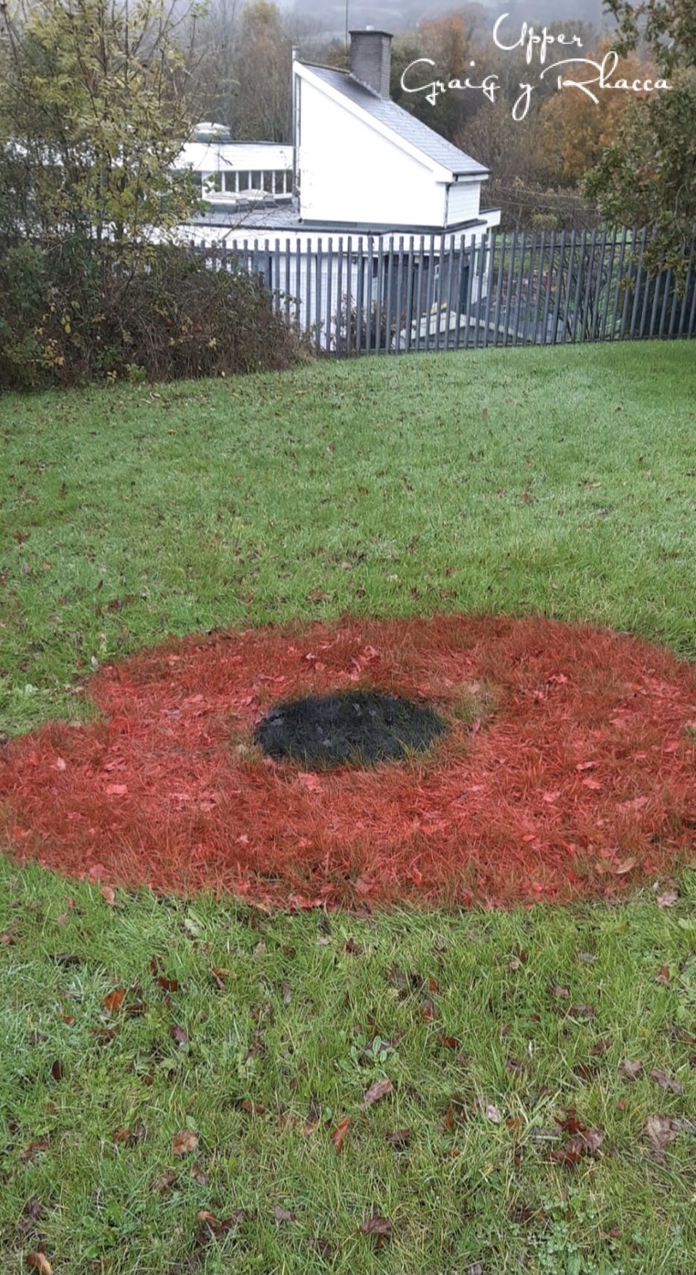 Gallery Bedwas, Trethomas & Machen Community Council Bedwas